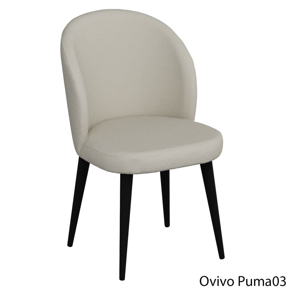 OvivoPuma03