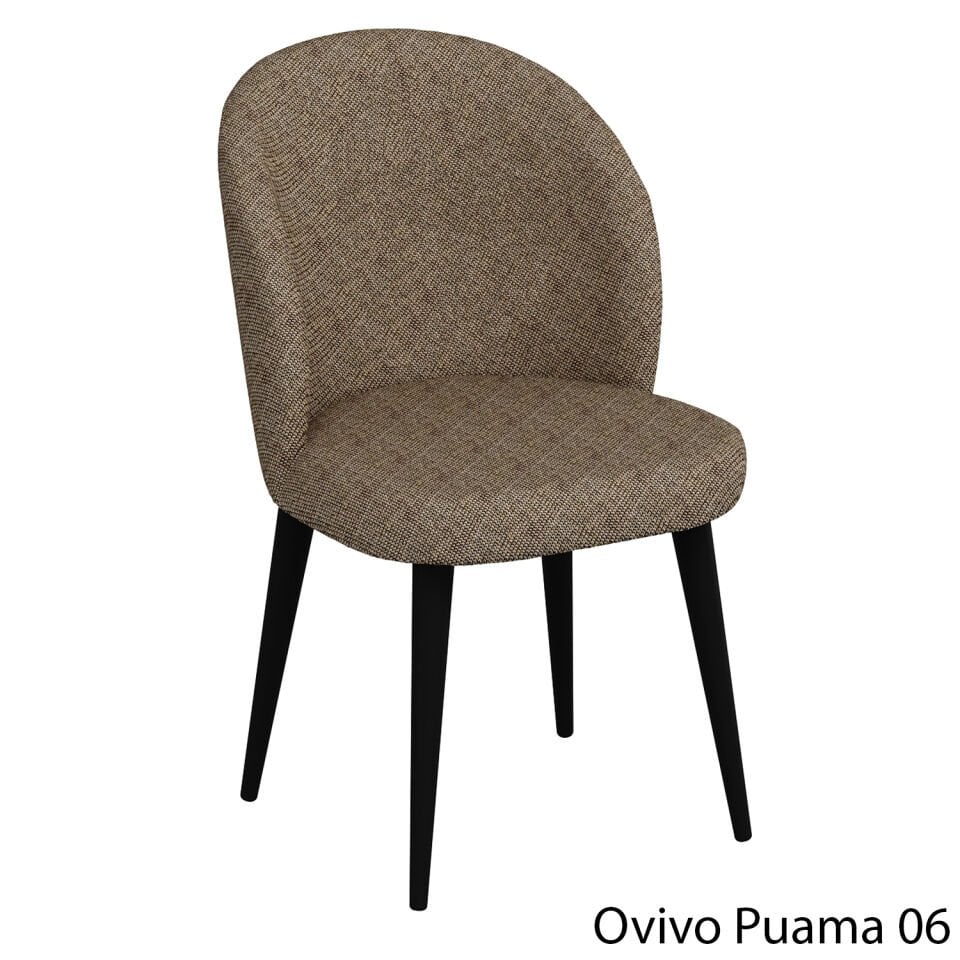 OvivoPuma06