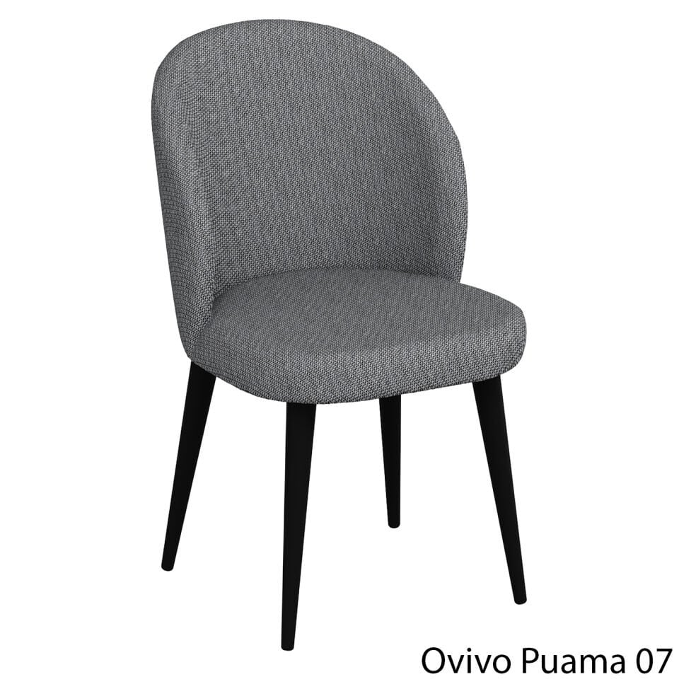 OvivoPuma07
