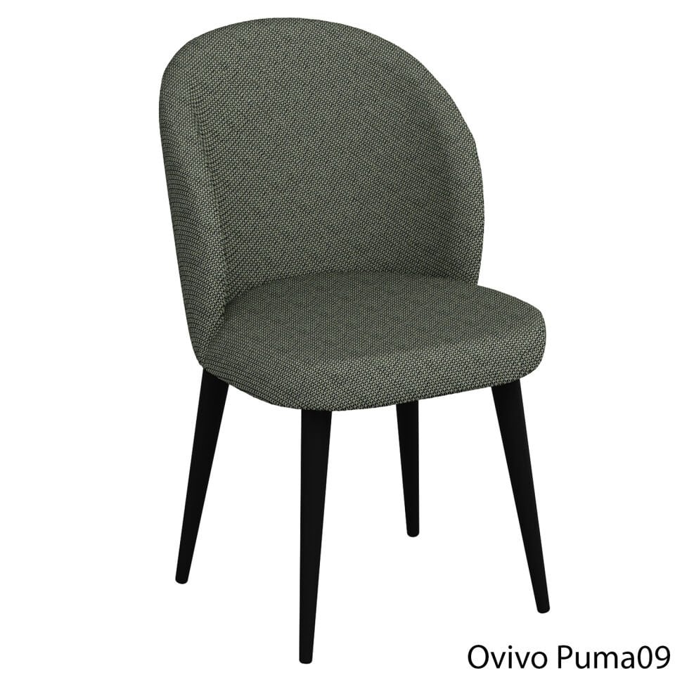 OvivoPuma09