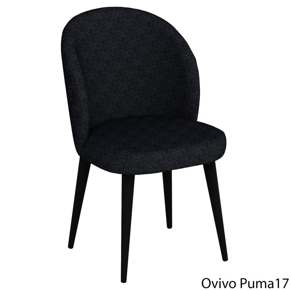 OvivoPuma17