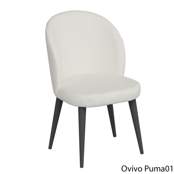 OvivoPuma01