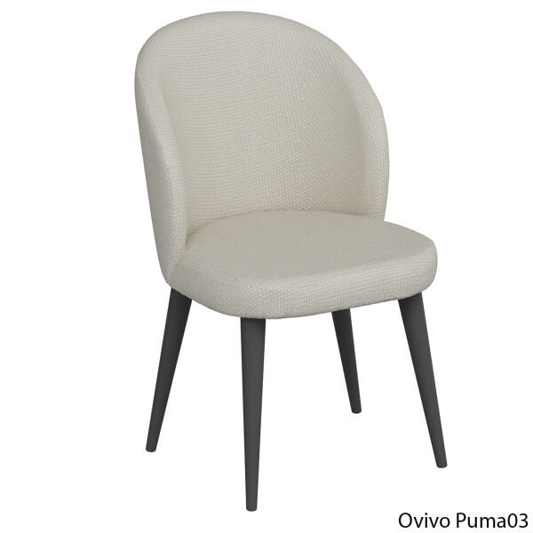 OvivoPuma03