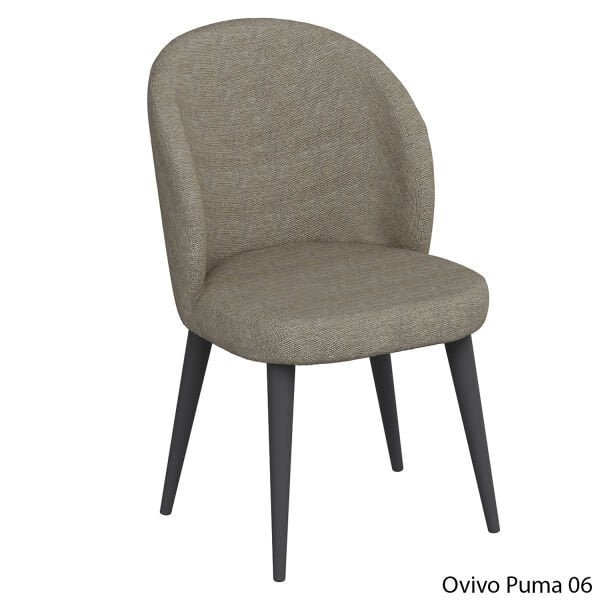 OvivoPuma06