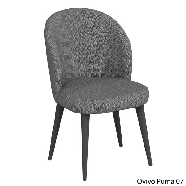 OvivoPuma07