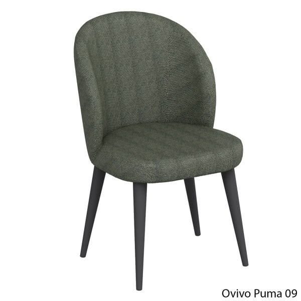 OvivoPuma09