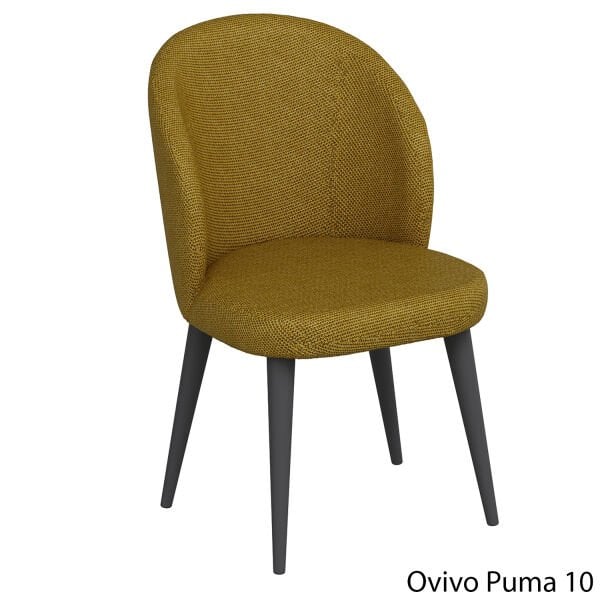OvivoPuma10