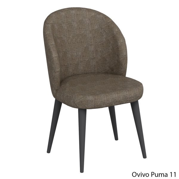 OvivoPuma11