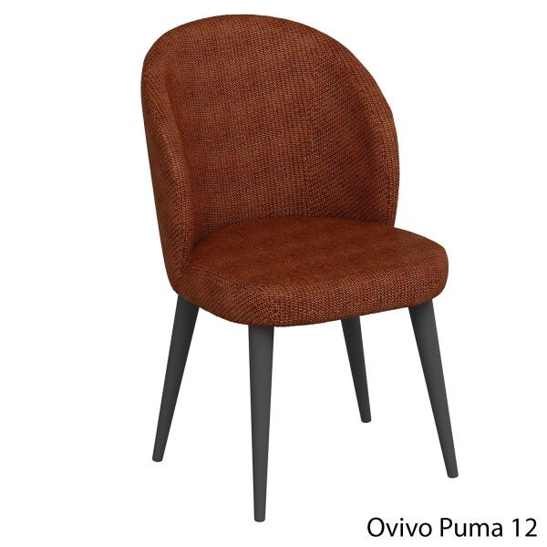 OvivoPuma12