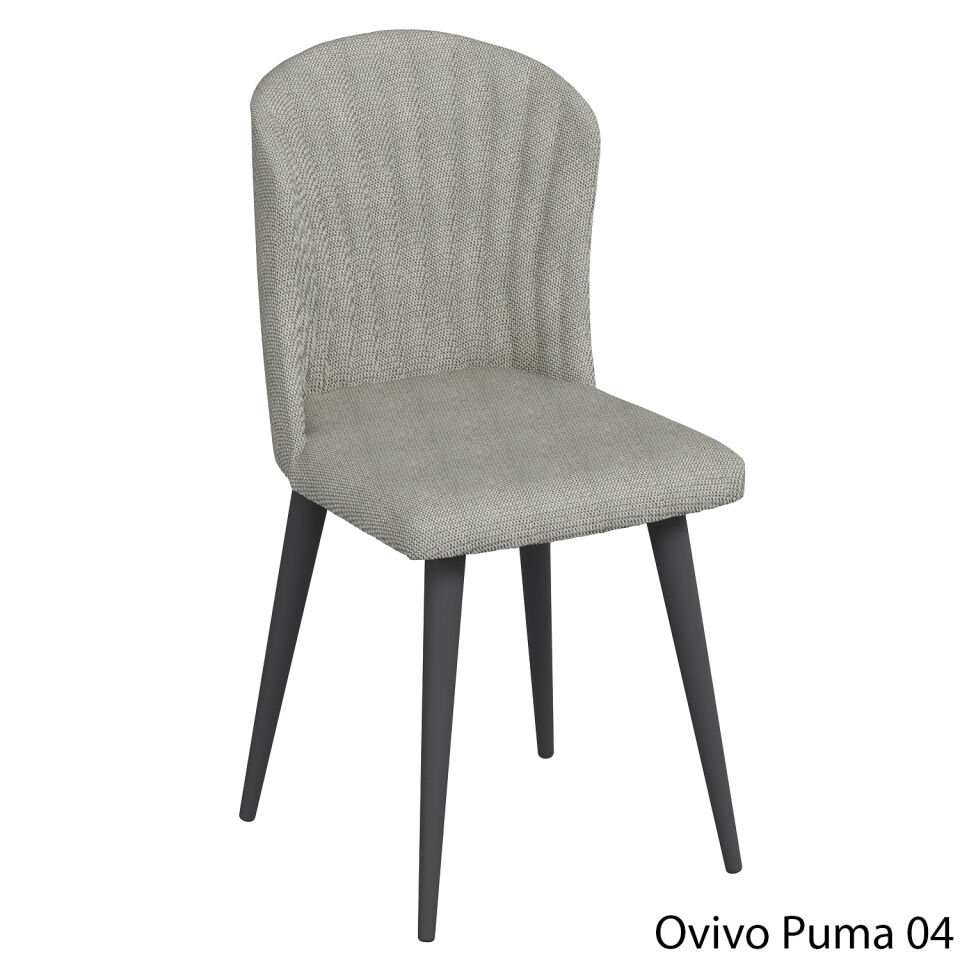 OvivoPuma04