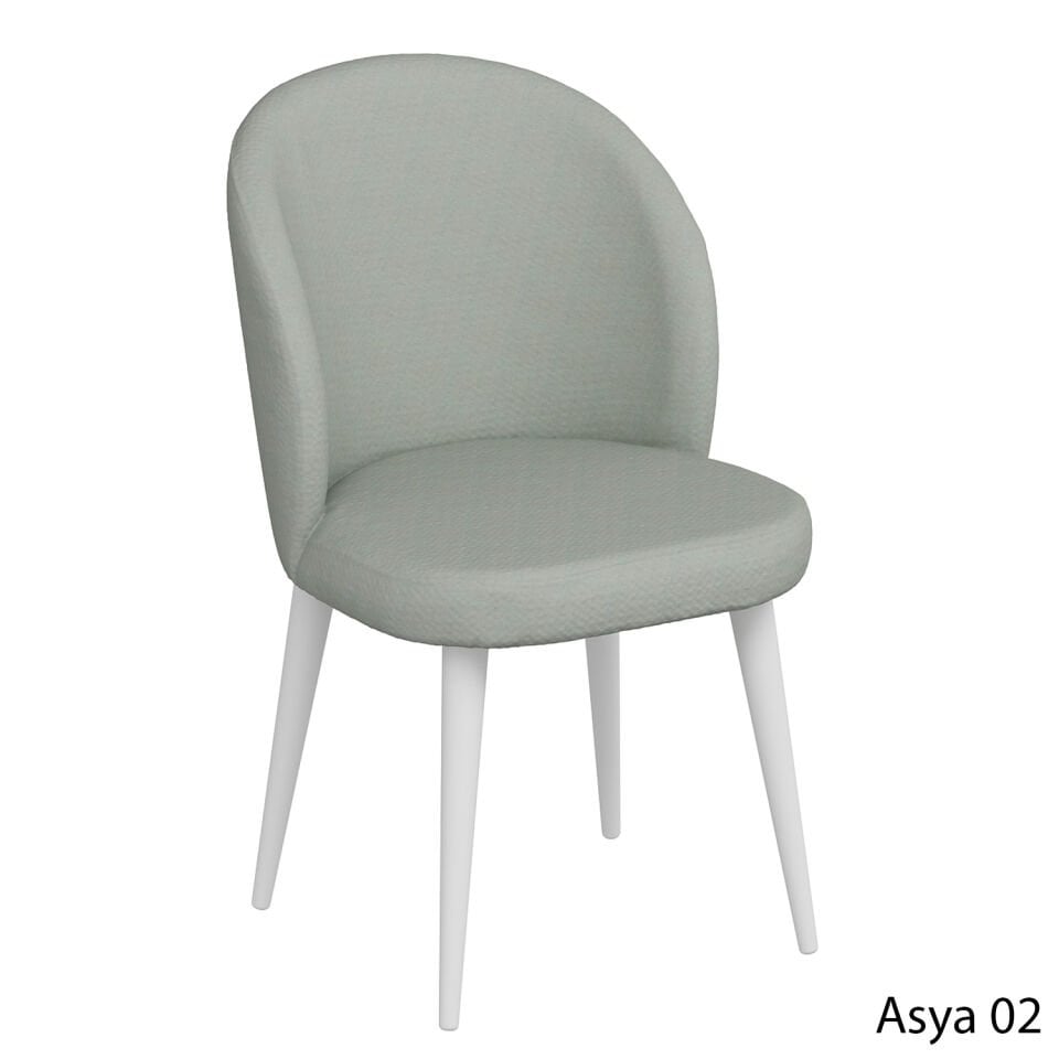 Asya02