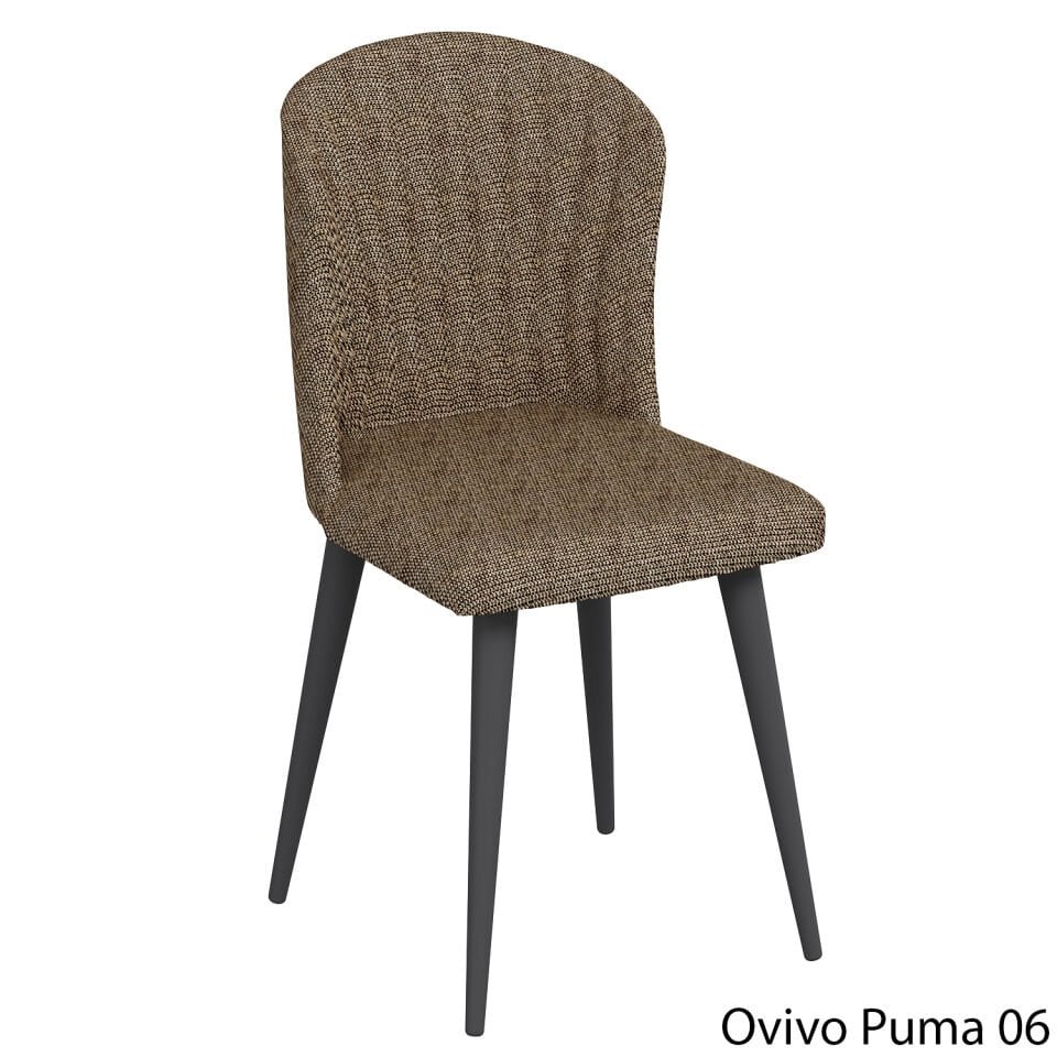 OvivoPuma06