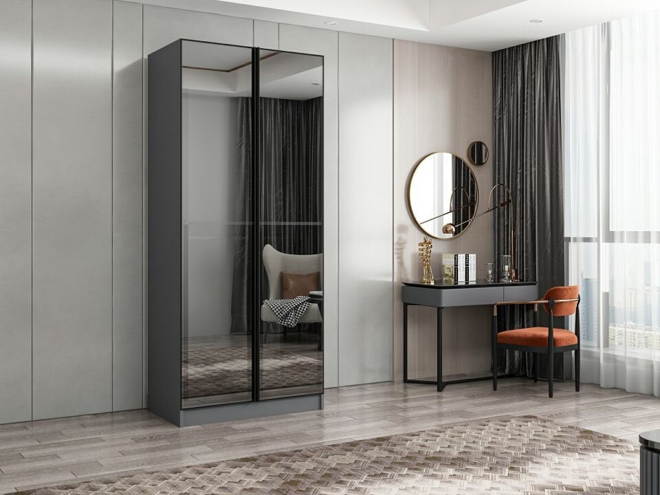 Nisa 2 Kapaklı Dolap Antrasit Reflekte Cam