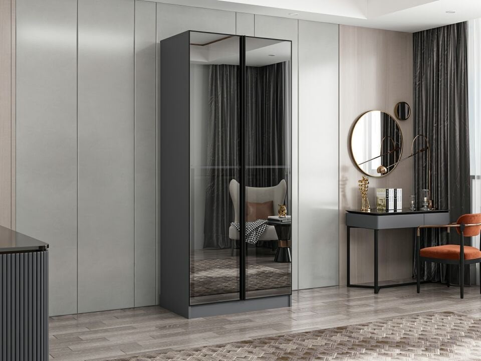 Nisa 2 Kapaklı Dolap Antrasit Reflekte Cam