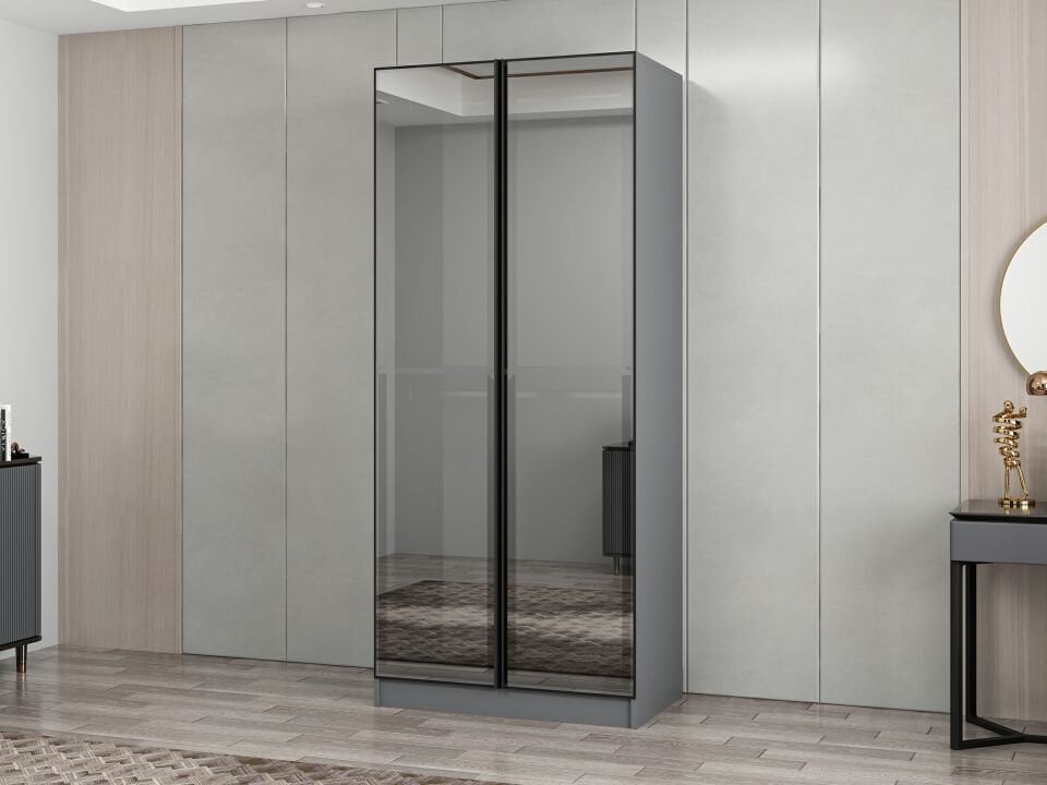 Nisa 2 Kapaklı Dolap Antrasit Reflekte Cam