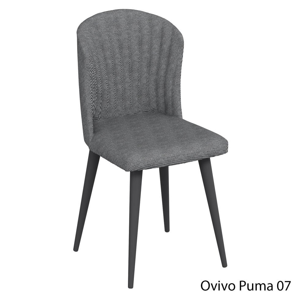 OvivoPuma07