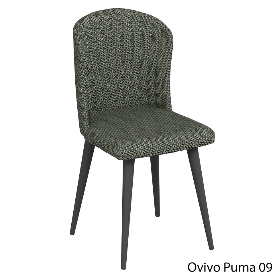 OvivoPuma09