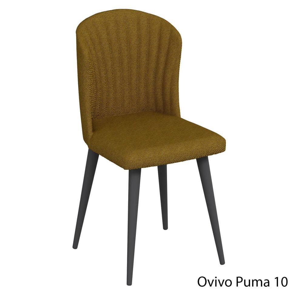 OvivoPuma10