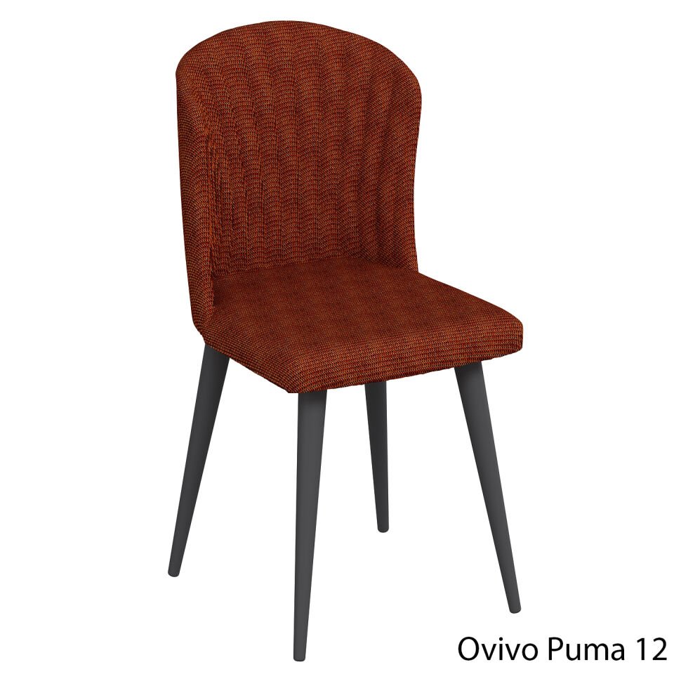 OvivoPuma12