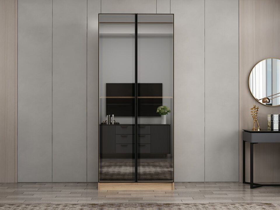 Nisa 2 Kapaklı Dolap Dore Reflekte Cam