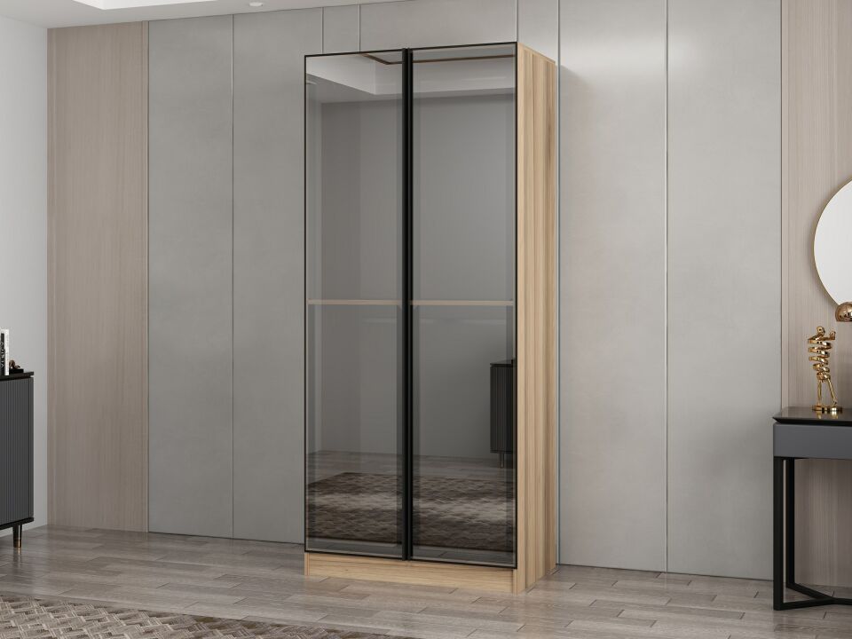 Nisa 2 Kapaklı Dolap Dore Reflekte Cam