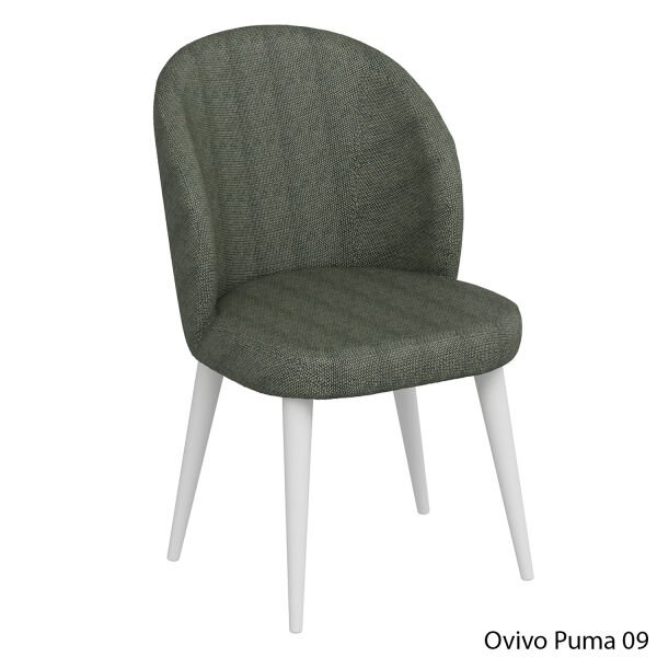 OvivoPuma09