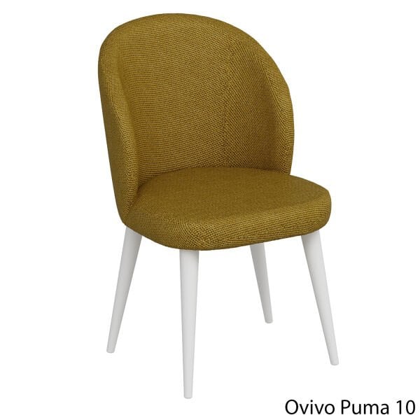 OvivoPuma10