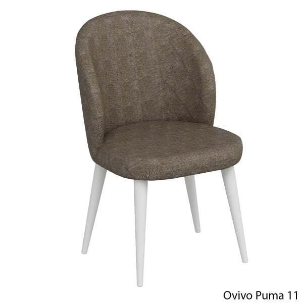 OvivoPuma11