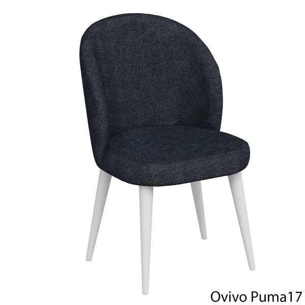 OvivoPuma17