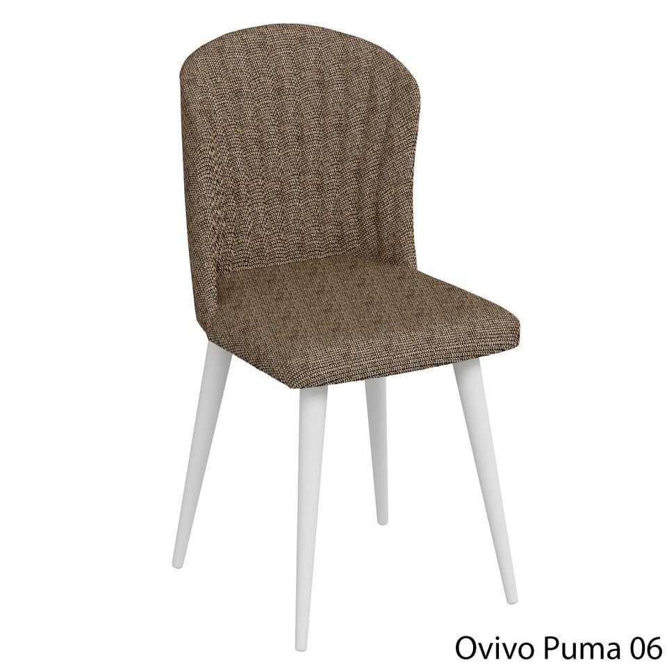 OvivoPuma06