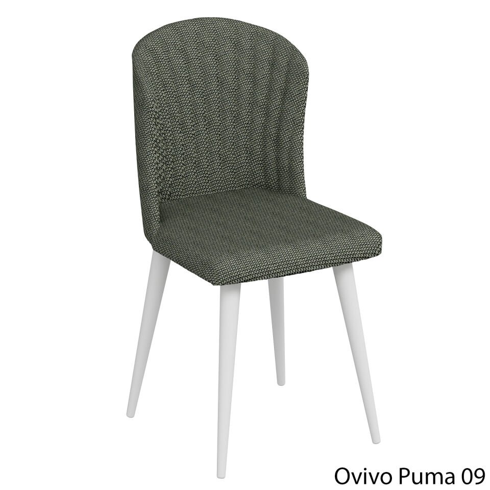 OvivoPuma09