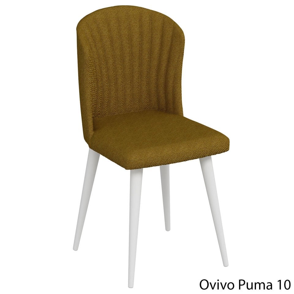 OvivoPuma10
