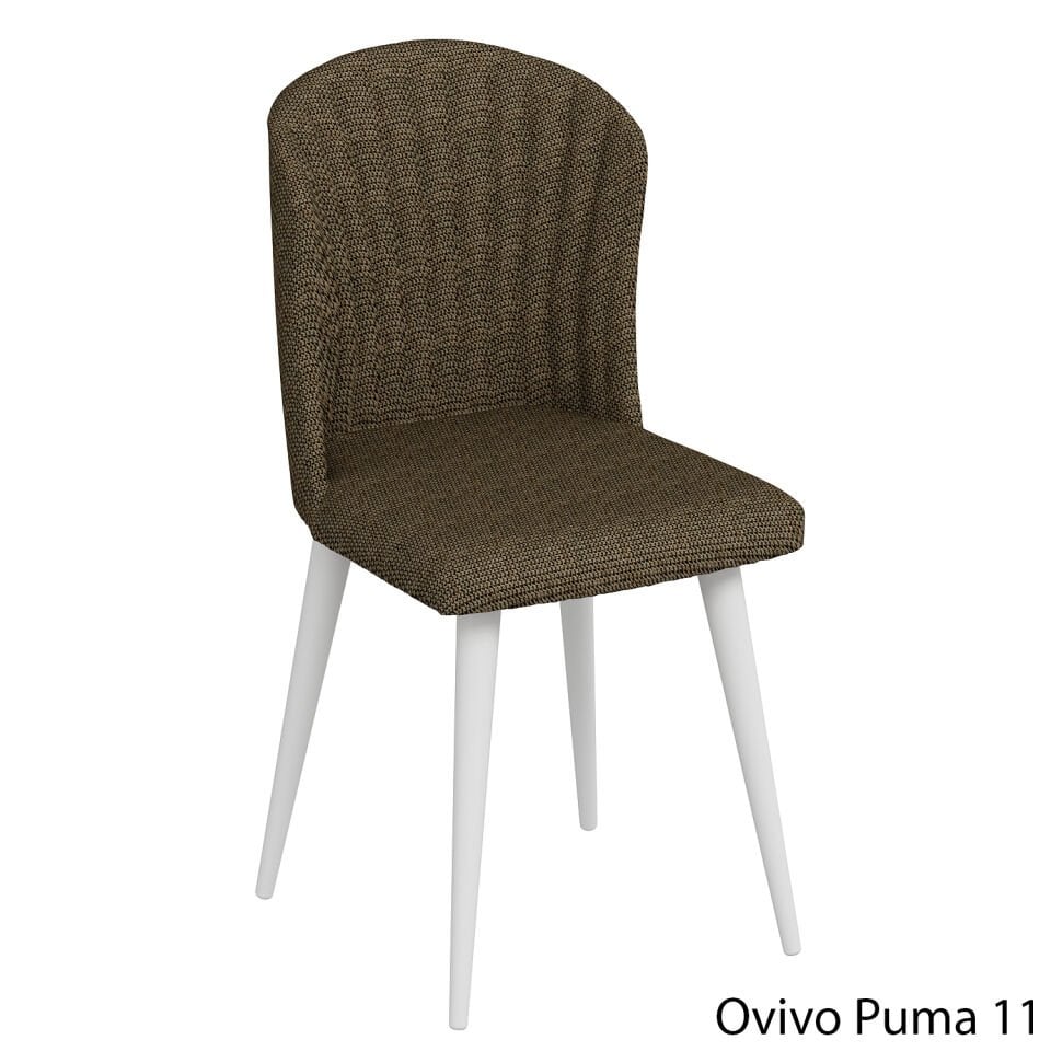OvivoPuma11