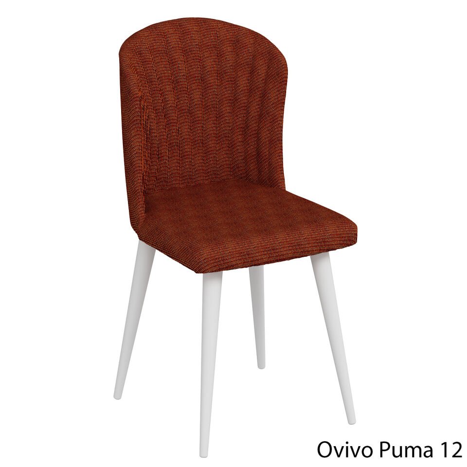 OvivoPuma12