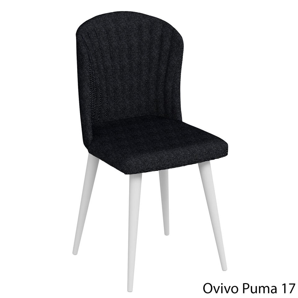 OvivoPuma17