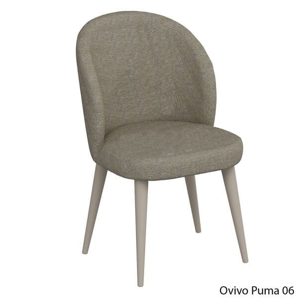 OvivoPuma06