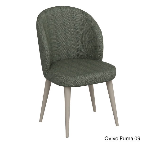 OvivoPuma09