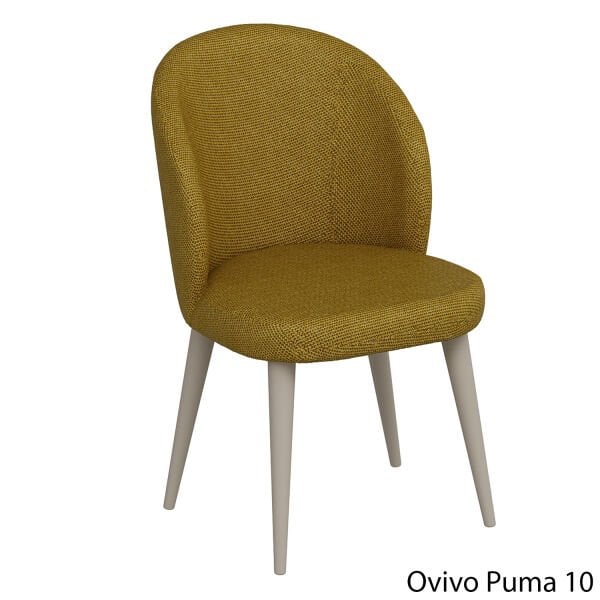 OvivoPuma10