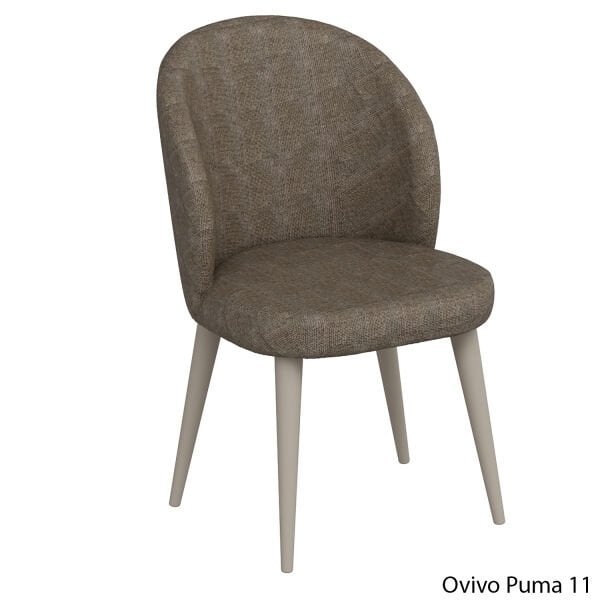OvivoPuma11