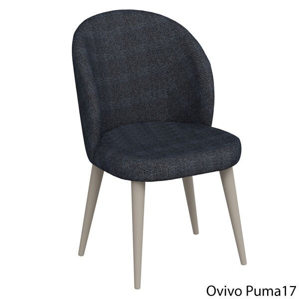 OvivoPuma17