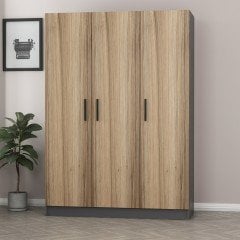 Minar Kale 3 Kapaklı 2 Çekmeceli Dolap Antrasit Dore