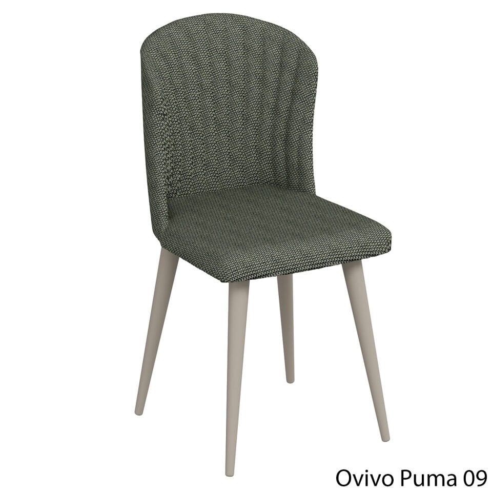 OvivoPuma09
