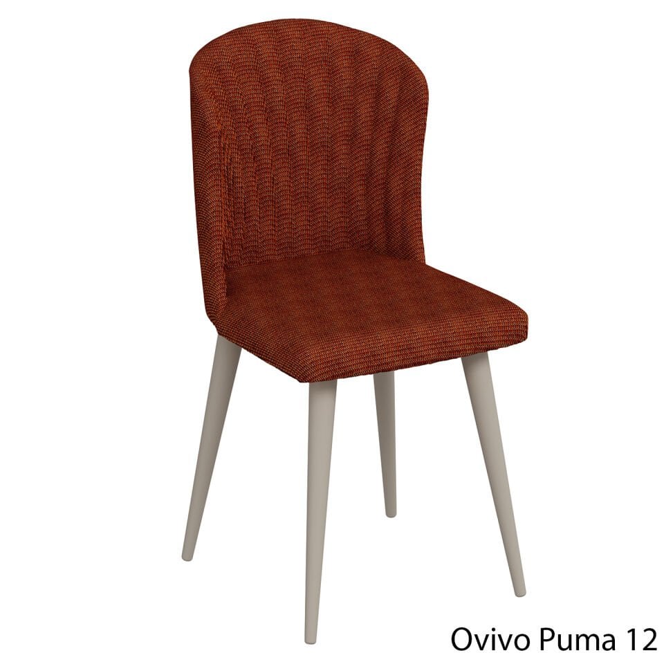 OvivoPuma12