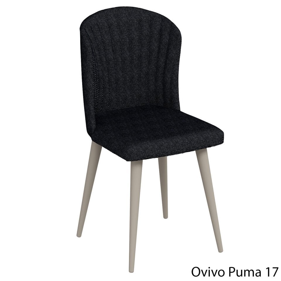 OvivoPuma17