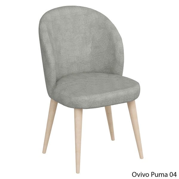 OvivoPuma04