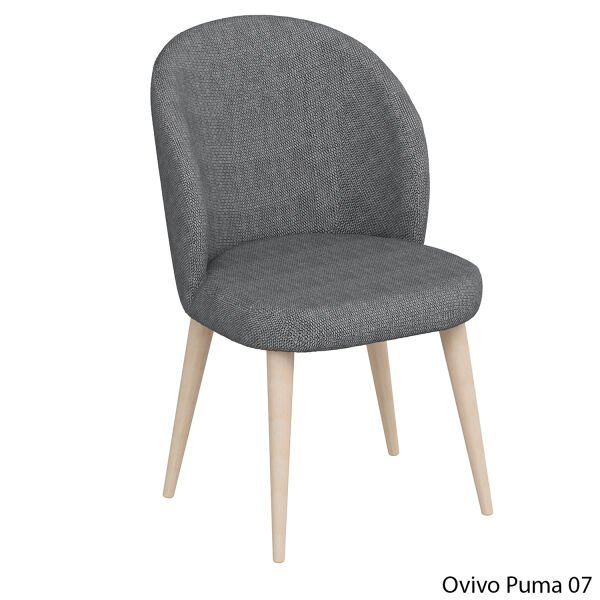 OvivoPuma07