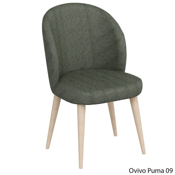 OvivoPuma09