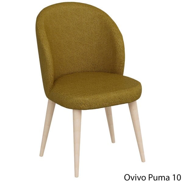 OvivoPuma10