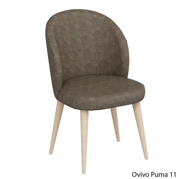 OvivoPuma11