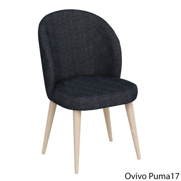 OvivoPuma17
